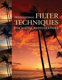Professional Filter Techniques for Digital Photographers - Sholik, Stan