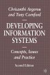 Developing Information Systems - Bild 1