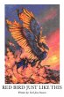 Red Bird Just Like This - Bild 1