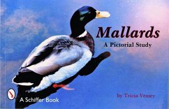 Mallards: A Pictorial Study - Veasey, Tricia