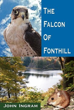 The Falcon of Fonthill - Ingram, John