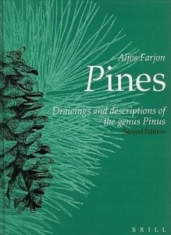 Pines: Drawings and Descriptions of the Genus Pinus - Farjon, Aljos