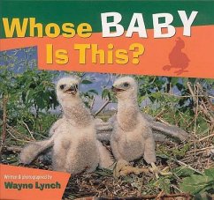 Whose Baby Is This? - Lynch, Wayne