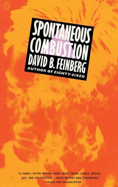 Spontaneous Combustion - Feinberg, David B