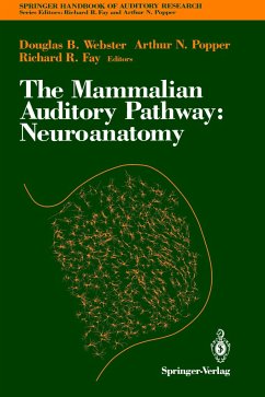 The Mammalian Auditory Pathway: Neuroanatomy - Webster