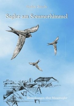 Segler am Sommerhimmel - Bosch, Stefan