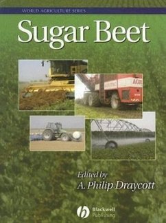 Sugar Beet - Draycott, Philip
