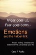 Anger Goes Up, Fear Goes Down- Emotions... - Bild 1