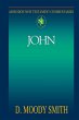 Abingdon New Testament Commentary - John - Bild 1