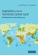 Vegetation Terrestrial Carbon Cycle - Bild 1