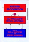 Pattern Recognition by Self-Organizing Neural Networks