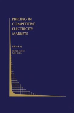 Pricing in Competitive Electricity Markets - Faruqui, Ahmad / Eakin, Kelly (Hgg.)