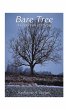 Bare Tree - Bild 1