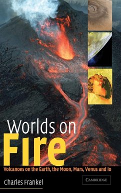 Worlds on Fire - Frankel, Charles