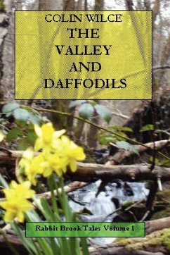 The Valley and Daffodils (Rabbit Brook Tales Volume 1) - Wilce, Colin