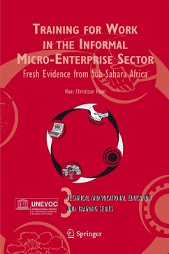 Training for Work in the Informal Micro-Enterprise Sector - Haan, Hans Christiaan