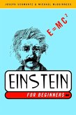 Einstein for Beginners