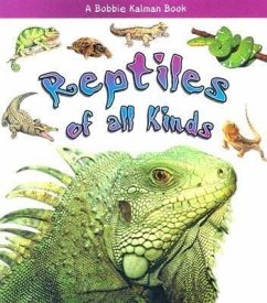 Reptiles of All Kinds - MacAulay, Kelley