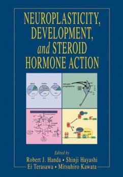 Neuroplasticity, Development, and Steroid Hormone Action - Handa, Robert J. (ed.)