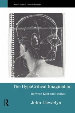 The Hypocritical Imagination - Llewellyn, John