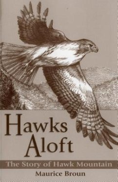 Hawks Aloft - Broun, Maurice