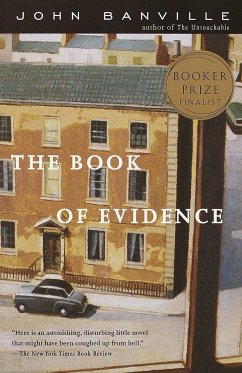 The Book of Evidence - Banville, John