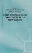 Bank Strategies and Challenges in the... - Bild 1