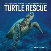 Turtle Rescue