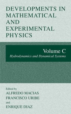 Developments in Mathematical and Experimental Physics - Macias, Alfredo / Uribe, Francisco / Diaz, Enrique (Hgg.)