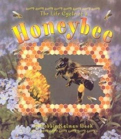 Honeybee - Kalman, Bobbie