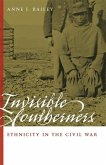 Invisible Southerners: Ethnicity in the Civil War