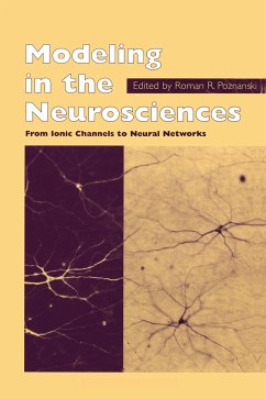 Modeling in the Neurosciences - Poznanski, Roman R. (ed.)