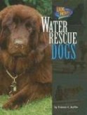 Water Rescue Dogs