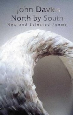 North by South: New and Selected Poems - Davies, John