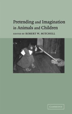 Pretending and Imagination in Animals and Children - Mitchell, W. (ed.)