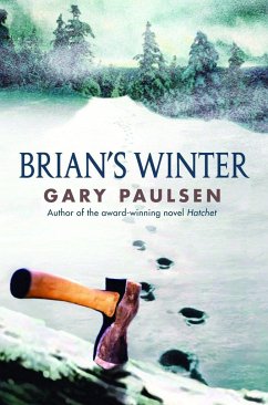 Brian's Winter - Paulsen, Gary