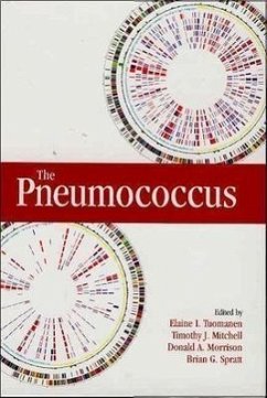 The Pneumococcus - Tuomanen, Elaine