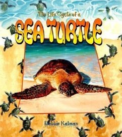 Sea Turtle - Kalman, Bobbie