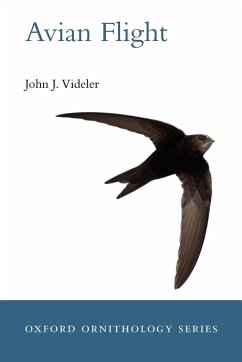 Avian Flight - Videler, John J.