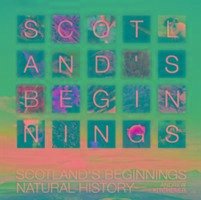 Scotland's Beginnings - Taylor, Doctor Dr Michael A.; Kitchener, Andrew