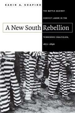 A New South Rebellion - Shapiro, Karin A.
