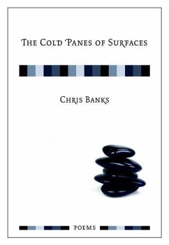 The Cold Panes of Surfaces - Banks, Chris