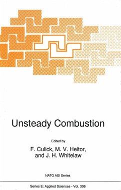 Unsteady Combustion - Culick, F. / Heitor, M.V. / Whitelaw, J.H. (Hgg.)