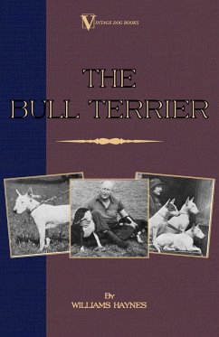 The Bull Terrier