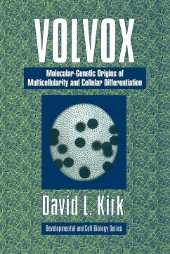 Volvox - Kirk, David L.