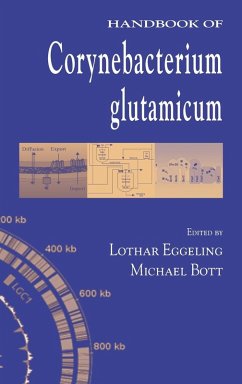 Handbook of Corynebacterium glutamicum - Eggeling, Lothar / Bott, Michael (eds.)