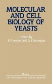 Molecular And Cell Biology Of Yeasts