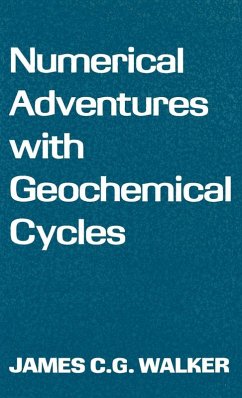 Cover Numerical Adventures with Geochemical Cycles