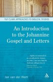 Introduction to the Johannine Gospel and Letters