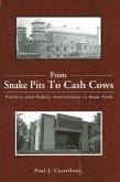 From Snake Pits to Cash Cows: Politics and Public Institutions in New York